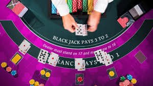 333bet15